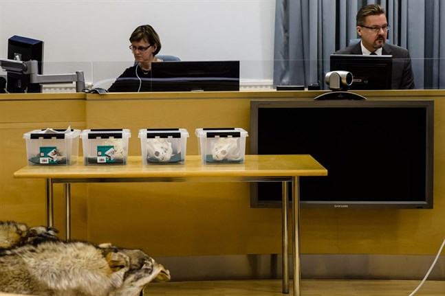 Bevismaterial. Vargrättegången i Mellerstaösterbottens tingsrätt i Karleby.